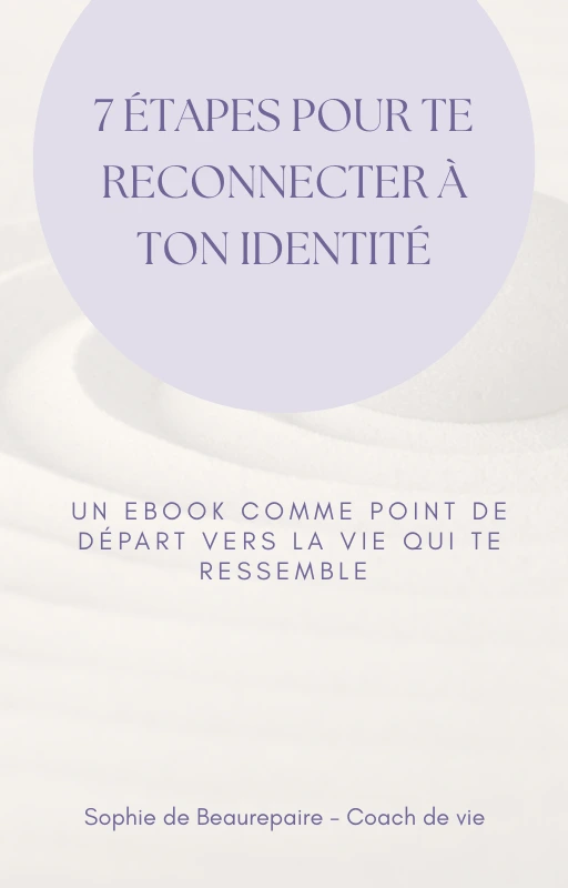 couverture de mon ebook reconnexion à son identité